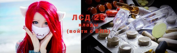 винт Алексин