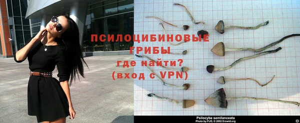 mdpv Алзамай