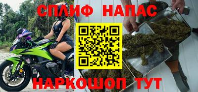 стаф Долгопрудный