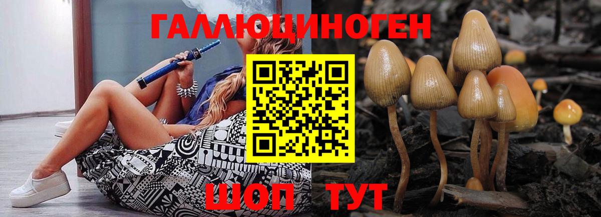 Псилоцибиновые грибы Magic Shrooms Киржач