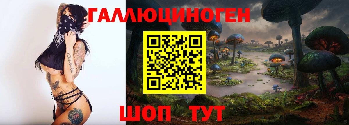 Киржач  где продают наркотики  Галлюциногенные грибы Cubensis  Вход с VPN  Псилоцибиновые грибы GOLDEN TEACHER 
